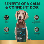VetriScience Clinically Tested Composure Calm & Confident Chews - Supplement for Dogs with Anxiety, Stress & Fear with L-Theanine for Thunderstorms, Fireworks or Travel, Peanut Butter, 120 Count