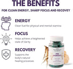 Pre-Workout Supplement - Focus & Performance Stack with Lion’s Mane, Creatine, American Ginseng & Beta-Glucans – Natural Energy & Endurance Without Caffeine - 120 Vegan Capsules