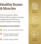 Solgar Magnesium with Vitamin B6, 250 Tablets - Promote Healthy Bone Mineralization, Support Nerve & Muscle Function, Energy Metabolism - Non-GMO, Vegan, Gluten Free, Dairy Free, Kosher - 83 Servings