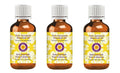 Deve Herbes Pure Geranium Essential Oil (Pelargonium graveolens) Steam Distilled (Pack of Three) 100ml X 3 (10oz)