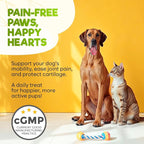 ZENO Glucosamine HCL & Hip and Joint Chews for Dogs - 150 pcs - Advanced Hip and Joint Support for Dogs - with MSM & Green Lipped Mussel - Chicken