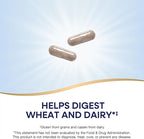 Nature's Way Gluten Defense Digestive Enzymes*, Helps Digest Wheat & Dairy(1), Gluten & Casein Digestive Enzymes*, 120 Vegan Capsules (Packaging May Vary)