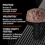 GNC AMP Wheybolic Clinically Proven Protein Powder, 40g Whey Protein, BCAA, Leucine, Increases Muscle Strength, Muscle Building, 3rd Party Tested, Gluten Free, Fruity Crisps, 25 Servings