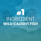Wild Caught Marine Pet Collagen for Dogs, Peptide for Dogs - Improves Gut, Skin & Coat Health, Allergies, Pet Mobility Hip & Joint Supplement Health