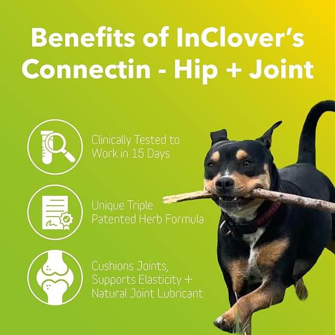 InClover Connectin Natural Hip & Joint Supplement for Dogs with Glucosamine, Chondroitin & Hyaluronic Acid - Tablet for Dog Mobility, Comfort & Active Lifestyle Support, 150 Count