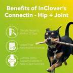 InClover Connectin Natural Hip & Joint Supplement for Dogs with Glucosamine, Chondroitin & Hyaluronic Acid - Tablet for Dog Mobility, Comfort & Active Lifestyle Support, 50 Count