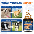 Multi Collagen Soft Chews for Dogs 250 Count for Hip & Joint Supplement Skin & Coat Health Cartilage Mobility Support with Glucosamine Probiotics Hyaluronic Acid Eggshell Membrane (Chicken Flavor)