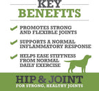 WINPRO Hip & Joint Supplement for Dogs - Plasma Powered Soft Chews for Joint Health & Mobility – Fast-Acting with Collagen & Natural Ingredients for Dogs of All Breeds – 60 Chews