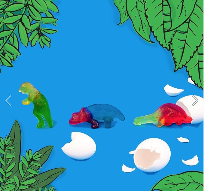 HARIBO Gummi Candy, Dinosaurs Gummy Candy, 5 Ounce Share Size Bags (Pack of 12) Delicious Soft & Chewy Sweet Snacks, Assorted Fruity Flavors