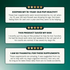 VetriScience Same Liver Health Tablets for Cats & Small Dogs – 90 mg S-Adenosyl Methionine Liver Support Supplement, Methionine Health and Detox Supplement, Glutathione Antioxidant, Tablets, 30 Cnt