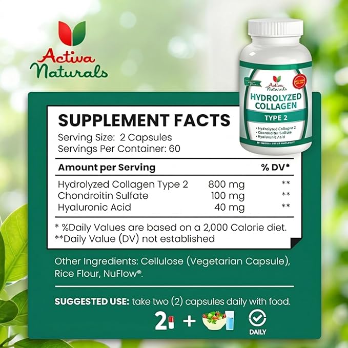 Collagen Type 2 Hydrolyzed Supplement with Chondroitin and Hyaluronic, for Healthy Hair, Skin, and Nails, No Fillers, Additives, and No Artificial Colors - 120 Vegetarian Capsules