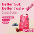 TEAZEN Berry Kombucha Powder, Hydration Drink Mix, Sugar Free, Live Probiotics & Prebiotics, On-the-Go 10 Packets, 1.76oz