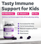 Sambucus Elderberry Gummies for Kids - Kids Immune Support Gummies with Black Elderberry Vitamin C and Zinc for Daily and Seasonal Wellness - Vegan Non-GMO & Lab Verified (3 Months Supply)