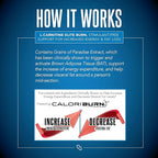 L-Carnitine Elite Burn Liquid Keto Fat Burner and Metabolism Activator - Fat Loss Support Keto Friendly Weight Loss Increase Energy-Stimulant Free - Lemon Lime 3000mg (32 Servings)
