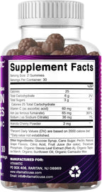Vitamatic Iron 65 mg Gummies Supplement for Women & Men - 60 Vegan Gummies - Great Tasting Iron Gummy Vitamins with Vitamin C (2)