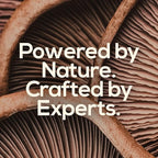 TrueMushroom - Sleep Support Mushroom Gummy Supplement with Melatonin for Sleep and Relaxation with Lion’s Mane, Cordyceps, Reishi, Shiitake. All-Natural, BlackBerry Flavor Gummies (60 Count)