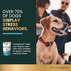 VetriScience Clinically Tested Composure Calm & Confident Chews - Supplement for Dogs with Anxiety, Stress & Fear with L-Theanine for Thunderstorms, Fireworks or Travel, Bacon, 60 Count