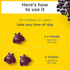 Zarbee's No Sugar Coating Elderberry Gummies for Kids, Daily Immune Support* Gummies with Vitamins C, D3 & Zinc to Support a Healthy Immune System*, No Artificial Flavors, Ages 2+, 60 ct