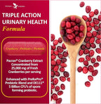 Potent Garden Urinary Support Womens Probiotic for Urinary Tract Health for Women, Cranberry Capsules with 5 Billion CFUs Cranberry Extract, Prebiotics and Probiotics for Women, 60 Caps, 30 Servings