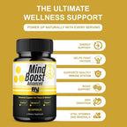 BLUE VIBE Mind Boost Premium Health & Wellness Nootropic Supplement, MindBoost Advanced All Natural Health Management & Overall Wellness Support Supplement Formula Pills (2 Pack - 120 Capsules)