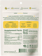 Plant People WonderBiome 2-in-1 Prebiotic + Probiotic Gummies – Zero-Sugar Vegan Digestive Health & Bloating Relief – 5 Billion CFU Bacillus Subtilis DE111 + Artichoke & Chicory – 60 Count