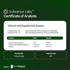 VYBRANCE LABS Creatine Gummies for Women & Men — First & Only 5g Creatine + Taurine + Vitamin B12 | Vegan Creatine Gummies | Sugar-Free | Sour Green Apple