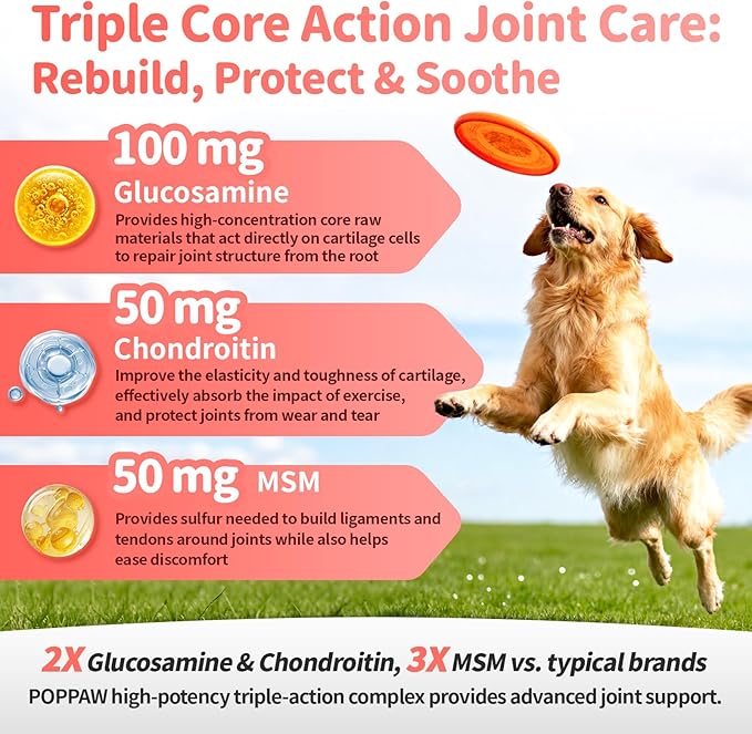 Joint Supplement for Dogs - 10 in 1 Hip and Joint Supplement Drops with Hyaluronic Acid, Liquid Glucosamine for Dogs with Chondroitin, MSM & Omega 3-2 FL.Oz - for All Breeds & Sizes