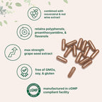 Micro Ingredients Grape Seed Extract, 240 Capsules | 3-in-1 Antioxidant Blend with Resveratrol & Red Wine Extracts | Max Strength Polyphenols Supplement | Non-GMO