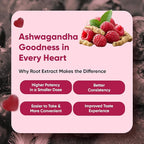 WeightWorld Ashwagandha Gummies for Stress Relief, Healthy Sleep & Energy Booster | 120 Count (2-Month Supply) | Vegan Ashwagandha Supplements Gummies | Natural Raspberry-Flavor, Non-GMO, Gluten-Free