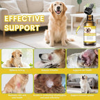 Natural Yeast Infection Treatment for Dogs, Helps to Support Itch Relief, Dog Ear Infection Treatment & Dog Yeast Infection Treatment for Dogs Help Supports Allergy, 60ml 1 Pack