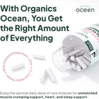 Organics Ocean Pure Magnesium Glycinate with Zinc - Maximum Strength Chelated Magnesium Supplement for Women and Men for Muscle Cramps and Sleep Support - 6 Bottles