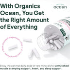 Organics Ocean Pure Magnesium Glycinate with Zinc - Maximum Strength Chelated Magnesium Supplement for Women and Men for Muscle Cramps and Sleep Support - 2 Bottles