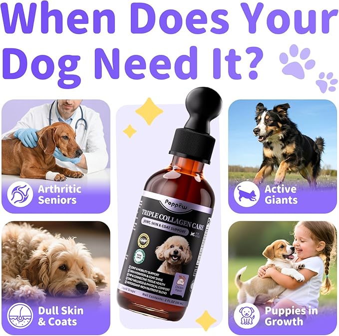 POPPAW Collagen for Dogs - 12-in-1 Liquid Collagen for Skin & Coat Support, Hip & Joint with Types I, II & III Drops, Hyaluronic Acid, Green-Lipped Mussel - Chicken Flavor, 2 FL Oz