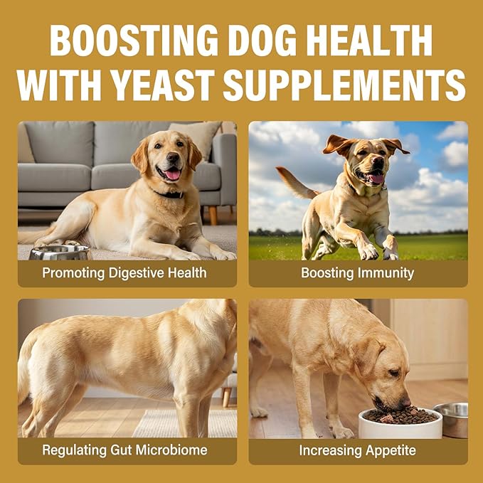 Yeast Infection Treatment for Dogs, Dog Anti Yeast Drops Treatment, Natural Dog Ear Yeast Infection Treatment Supports Immune System & Skin Microbiome