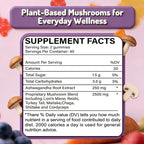 Mushroom Gummies, Organic & Functional Mushroom Gummies, Glow Fare Mushroom Gummies, Supplement for ImmuneDefense, Immune, Boosts Cognitive Performance and Energy, 80 Gummies (1PCS)