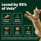 VetriScience Extra Strength Healthy Hip & Joint Chews, GlycoFlex Glucosamine and Green-Lipped Mussel Joint Support Supplement for Cats, Promote Mobility and Soothe Joint Discomfort, Chicken, 60 Count