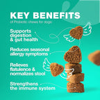 Probiotics for Dogs Gut Health, Digestion, Immunity, Yeast Balance, Itchy Skin, Allergies Support - Dog Probiotic Chews with Digestive Enzymes for Gut Flora- Soft Treats with Pumpkin and Yeast Powder