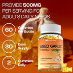 Aged Garlic Extract Gummies, 500mg Odorless Aged Garlic Supplements, Sugar Free, Vegan, Non-GMO, Pineapple Flavor, 60 Gummies