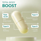 Multi Collagen 180 Protein Capsules - Type I, II, III, V, X Collagen Pills - Proprietary Blend of Eggshell, Chicken, Wild Fish & Grass-Fed Beef Collagen Peptides - 2025mg per serv