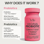 Vaginal Probiotics & Prebiotics for Women with Cranberry Extract | Supports Urinary Tract & PH Balance for Women | Probioticos Vajinal | Probiotics for Women's Vaginal Health- 60ct