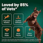 VetriScience Extra Strength Healthy Hip & Joint Chews, GlycoFlex Glucosamine and Green-Lipped Mussel Joint Support Supplement for Dogs, Chicken, 60 Count (Pack of 2)