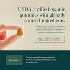 Gaia Herbs Turmeric Supreme Gummies Extra Strength - Supports Healthy Inflammatory Response in Healthy Individuals* - Lemon Ginger Flavor - 120 Vegan Organic Gummies (40 Servings)