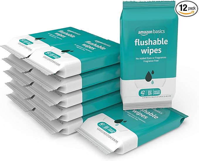Amazon Basics Flushable Adult Toilet Wipes, Formulated without Fragrance, 504 Count (12 Packs of 42)