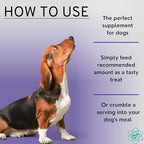Bladder Strength Approx 55 Chews - Natural Dog UTI Treatment - Kidney Support for Dogs - Dog Cranberry Supplement - Senior Dog Incontinence Supplements - Made in The USA