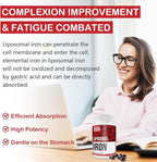 Liposomal Fe Iron Supplement for Women, 65 mg Iron Supplement with Folic Acid & Vitamin B12 for Men, Daily Blood & Energy Support for Adults Iron Deficiency 60 Softgels (2 Bottle)