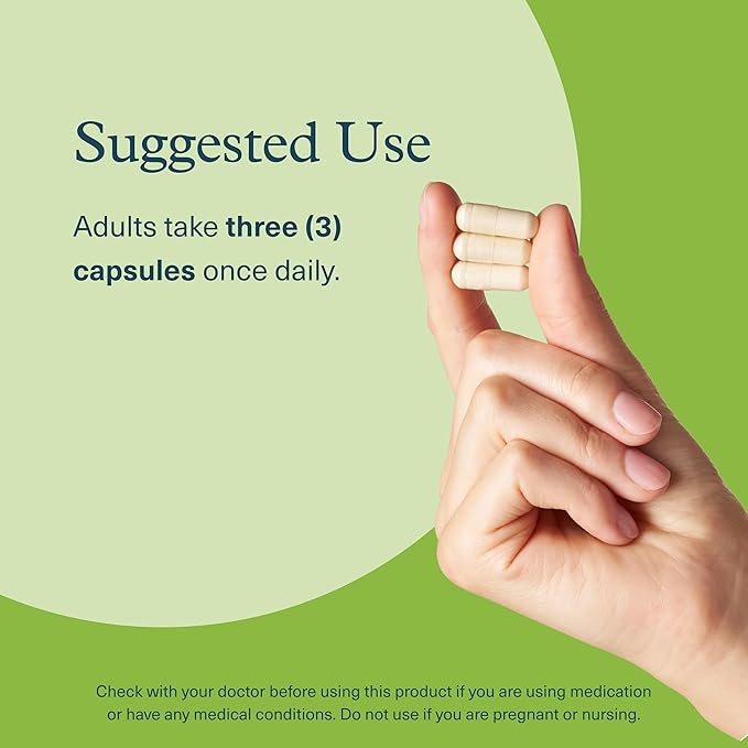Youtheory Mushroom Stress Complex - 6 Mushroom Blend - Stress Management Support* - Immune Support - L-Theanine Supplement - Dairy, Soy & Gluten Free - 60 Vegetarian Capsules