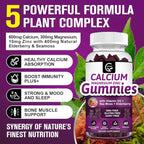 Calcium Magnesium Zinc Gummies with High Absorption Magnesium Glycinate 300mg, Potassium - Plant Complex Calcium Magnesium 2:1 Ratio, with D3 Sea Moss for Bone, Immune & Sleep Support, Vegan-1 Pack