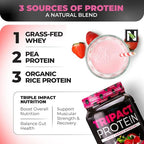 Nutrology TRIPACT Protein Powder - 7-in-1 Meal Replacement Shake with Grass Fed Whey Protein Powder, Pea, Rice, Greens for Muscle Recovery & Immunity, Superberry Flavor, 40 Servings