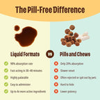Licks Pill Free Dog Digestion - Dog Gut Health and Gas Relief - Bloating Relief and Digestion Supplement for Dogs - Dog Health Supplies - Gel Packets - 10 Use