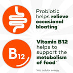 Align Probiotic, Bloating Relief + Food Digestion, Probiotics for Women and Men, Probiotic Helps Soothe Occasional Bloating*, with Vitamin B12 to Help Break Down Food into Cellular Energy*,60 Gummies
